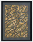 Regalia, Shadow Box