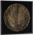 Night Sphere 1, Shadow Box